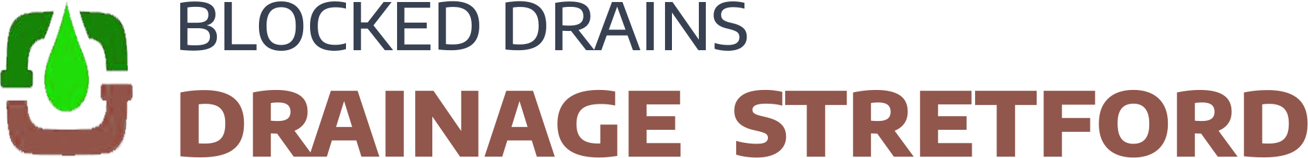 website logo